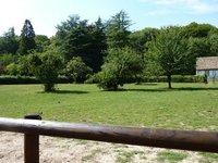 Les paddocks et les prés