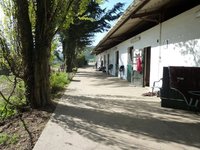 Les boxes bis